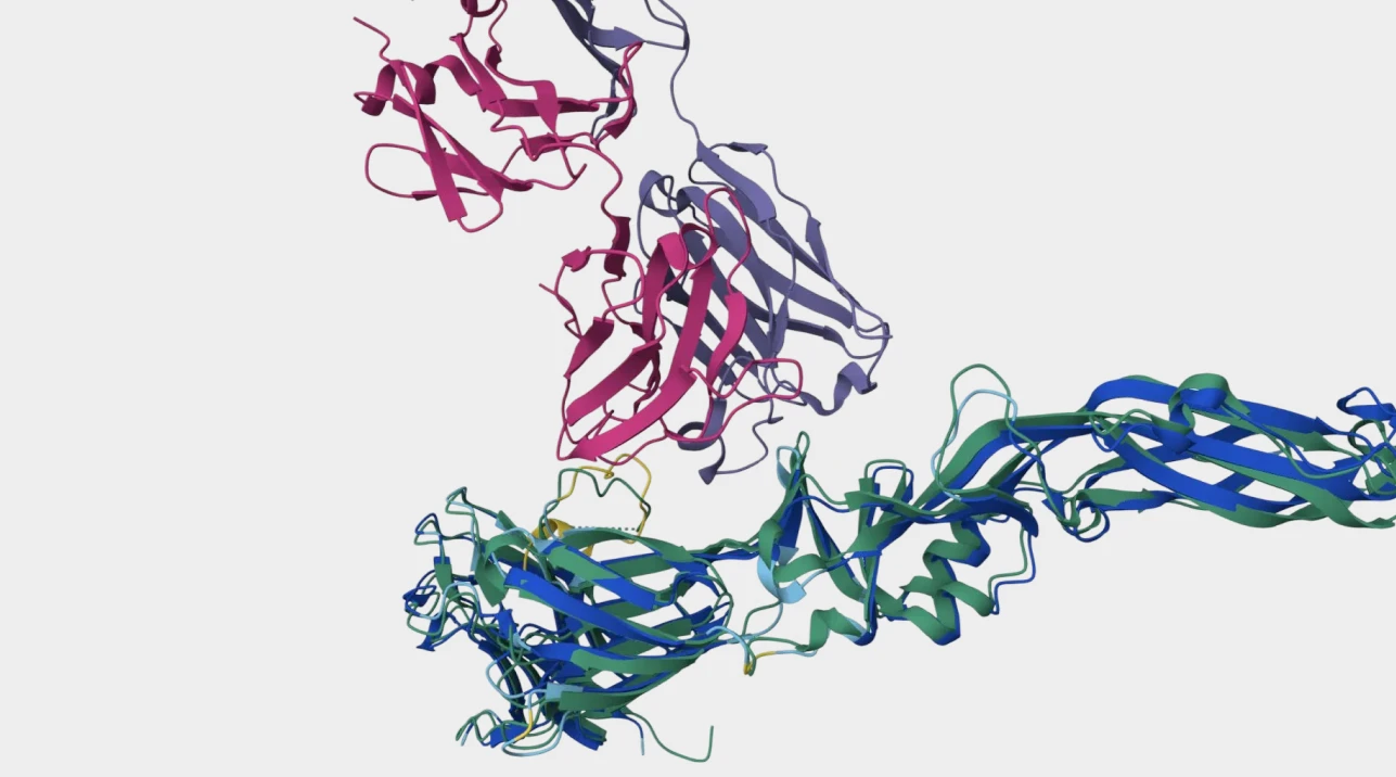 Deepflare achieves a manufacturable vaccine candidate with a more potent immune response on the very first try.
