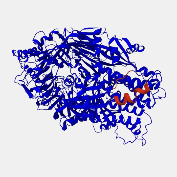 RSV full protein with epitope site-0
