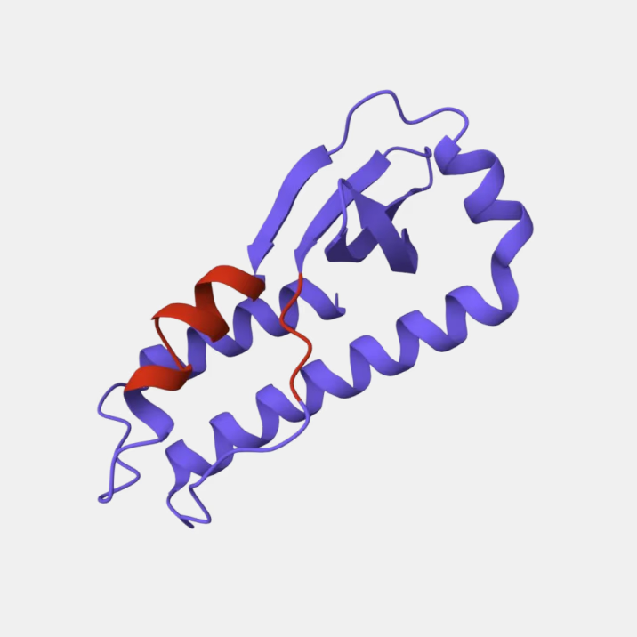 Designed antigen with only the epitope