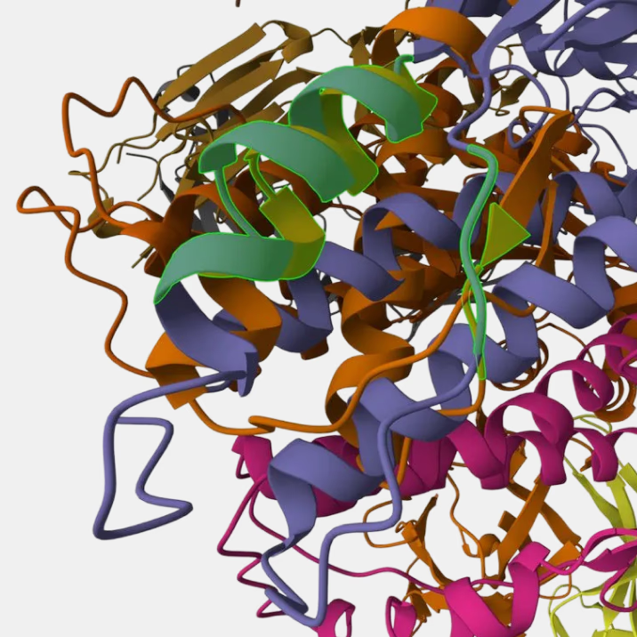 Structural alignment of RFdiffusion candidate