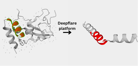 Deepflare achieves 100% success in vitro protein expression. Is it a new level of vaccine design?