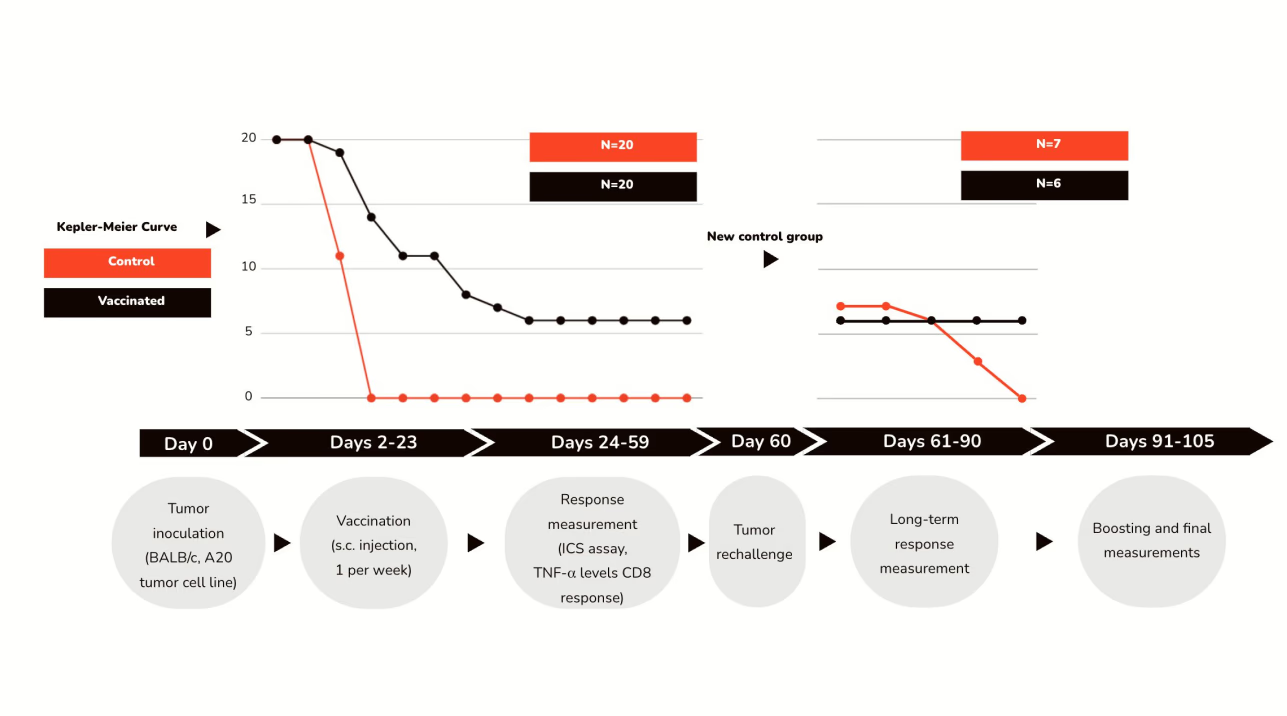 Study design timeline